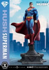 Superman (Prototype Shown) View 19