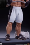 Ryu: Powerlifting (Battle Edition) (Prototype Shown) View 14