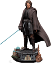 Anakin Skywalker (Prototype Shown) View 14