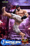 Battle Ryu (Prototype Shown) View 15