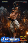 Battle Ryu (Prototype Shown) View 17