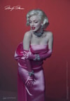 Marilyn Monroe (Prototype Shown) View 8