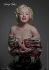 Marilyn Monroe (Prototype Shown) View 7