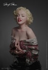 Marilyn Monroe (Prototype Shown) View 9
