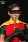 Batman and Robin (Prototype Shown) View 4