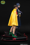 Batman and Robin (Prototype Shown) View 6