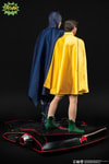 Batman and Robin (Prototype Shown) View 7