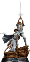 Luke and Leia Deluxe (Prototype Shown) View 14