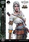 Ciri Fiona Elen Riannon (Bonus Version) (Prototype Shown) View 7