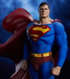 Superman (Prototype Shown) View 5