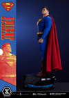 Superman (Prototype Shown) View 11