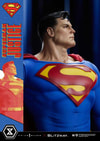 Superman (Prototype Shown) View 12