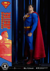 Superman (Prototype Shown) View 17