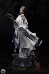 Zhuge Liang (Prototype Shown) View 9
