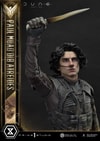 Paul Atreides (Prototype Shown) View 13