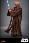 Plo Koon™ (Prototype Shown) View 8