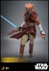 Plo Koon™ (Prototype Shown) View 10