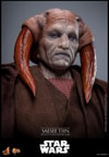 Saesee Tiin™ (Prototype Shown) View 5