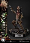 Feral Predator (Prototype Shown) View 11