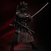 Jinyiwei (Special Warfare Ming Dynasty) (Prototype Shown) View 3