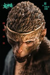 The Blood Rain (Original Version) (Prototype Shown) View 11