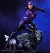 Catwoman (Purple Edition) (Prototype Shown) View 1