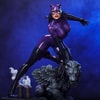 Catwoman (Purple Edition) (Prototype Shown) View 4