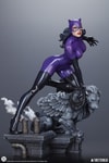 Catwoman (Purple Edition) (Prototype Shown) View 11