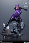 Catwoman (Purple Edition) (Prototype Shown) View 8