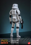 Stormtrooper™ (Prototype Shown) View 11