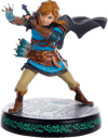 Tears of the Kingdom Link (Prototype Shown) View 15