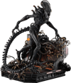 Scorched Xenomorph (Prototype Shown) View 16