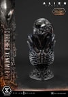 Scorched Xenomorph (Deluxe Version) (Prototype Shown) View 9