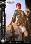 Triss Merigold Alternative Outfit (Prototype Shown) View 6