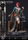Triss Merigold Alternative Outfit (Prototype Shown) View 10