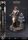 Triss Merigold Alternative Outfit (Prototype Shown) View 11