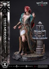 Triss Merigold Alternative Outfit (Prototype Shown) View 12