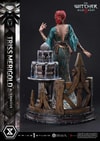 Triss Merigold Alternative Outfit (Prototype Shown) View 13