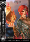 Triss Merigold Alternative Outfit (Bonus Version) (Prototype Shown) View 8