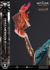 Triss Merigold Alternative Outfit (Bonus Version) (Prototype Shown) View 11