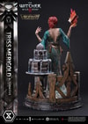 Triss Merigold Alternative Outfit (Bonus Version) (Prototype Shown) View 14