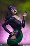 Catwoman (Prototype Shown) View 4