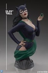 Catwoman (Prototype Shown) View 5