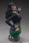 Catwoman (Prototype Shown) View 6