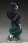 Catwoman (Prototype Shown) View 7