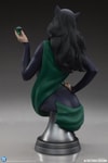 Catwoman (Prototype Shown) View 8