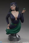 Catwoman (Prototype Shown) View 9