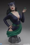 Catwoman (Prototype Shown) View 10