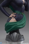 Catwoman (Prototype Shown) View 15