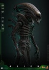 Big Chap Collector Edition (Prototype Shown) View 6